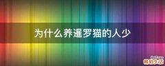 为什么养暹罗猫的人少
