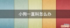 小狗一直叫怎么办