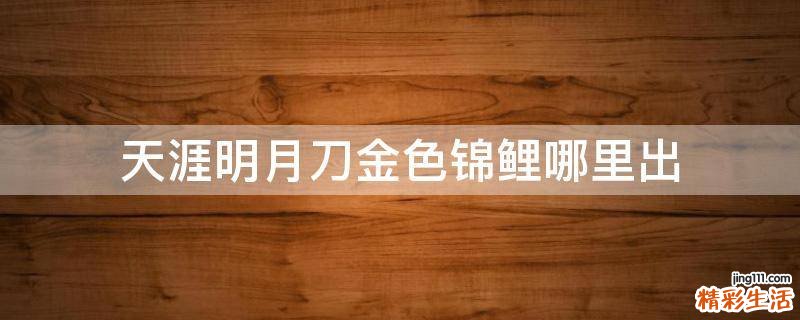 天涯明月刀金色锦鲤哪里出