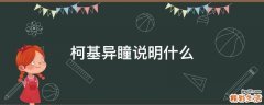 柯基异瞳说明什么