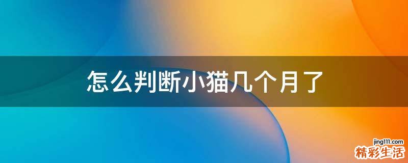 怎么判断小猫几个月了