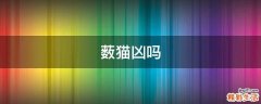 薮猫凶吗
