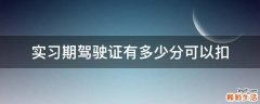 实习期驾驶证有多少分可以扣