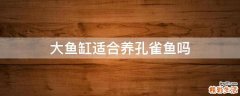 大鱼缸适合养孔雀鱼吗