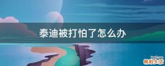 泰迪被打怕了怎么办