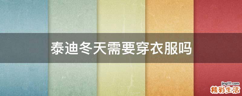 泰迪冬天需要穿衣服吗