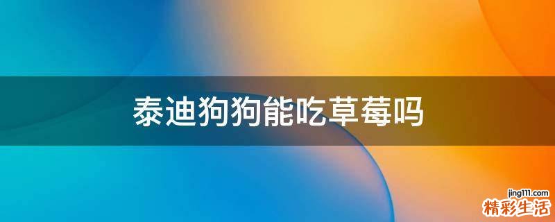 泰迪狗狗能吃草莓吗
