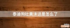 泰迪狗吐黄沫这是怎么了