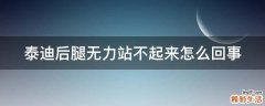 泰迪后腿无力站不起来怎么回事