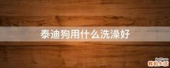 泰迪狗用什么洗澡好