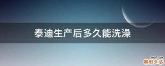 泰迪生产后多久能洗澡