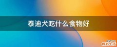 泰迪犬吃什么食物好