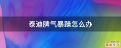 泰迪脾气暴躁怎么办