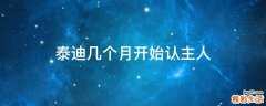 泰迪几个月开始认主人