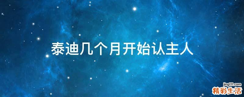 泰迪几个月开始认主人