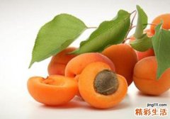 杏子的营养价值