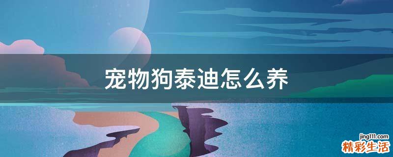 宠物狗泰迪怎么养