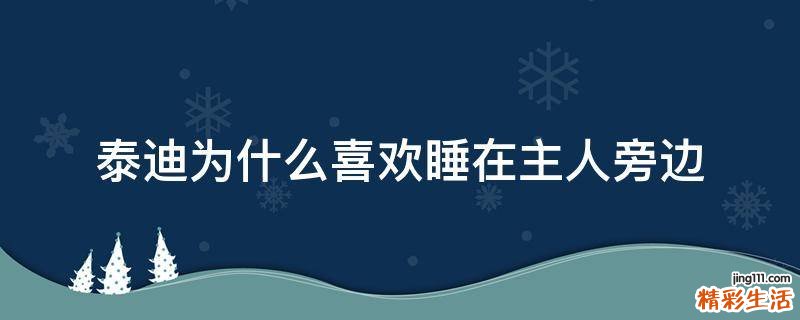 泰迪为什么喜欢睡在主人旁边