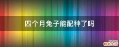 四个月兔子能配种了吗
