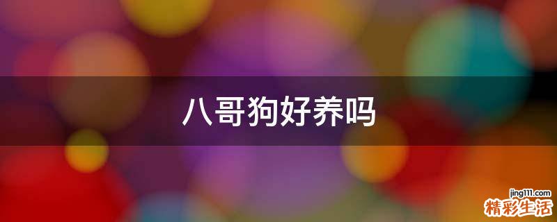 八哥狗好养吗