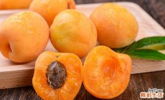 杏子没熟能吃吗 杏子没熟吃了会怎么样