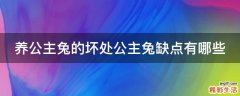 养公主兔的坏处公主兔缺点有哪些