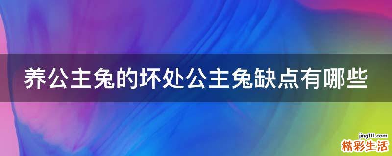 养公主兔的坏处公主兔缺点有哪些