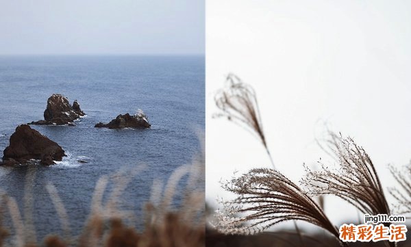 4 如何正确使用面膜