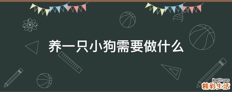 养一只小狗需要做什么
