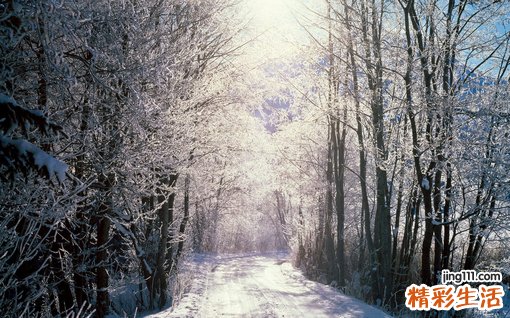痘痘该如何应对呢_应对痘痘的方法