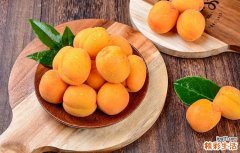 野山杏不能和什么一起吃 吃山杏有什么好处