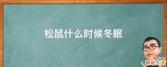 松鼠什么时候冬眠