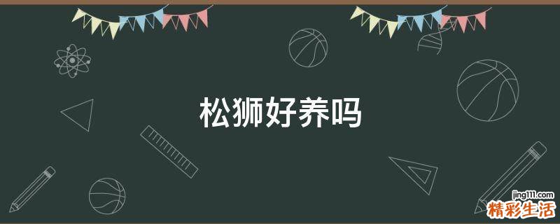 松狮好养吗