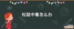 松鼠中暑怎么办