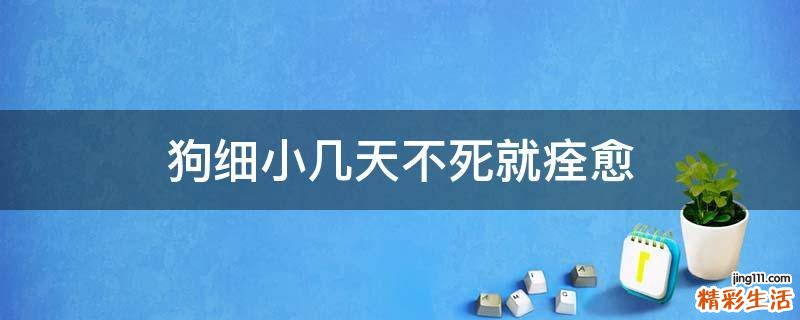 狗细小几天不死就痊愈
