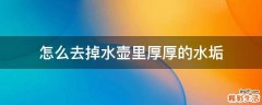 怎么去掉水壶里厚厚的水垢