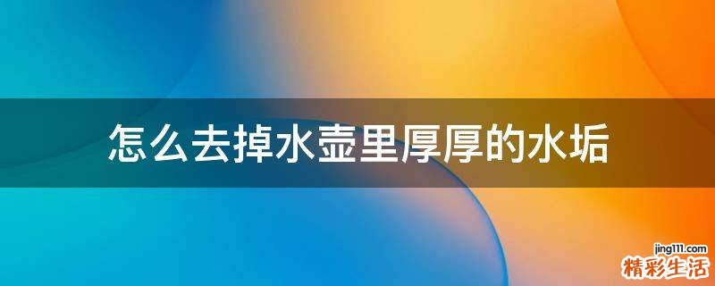 怎么去掉水壶里厚厚的水垢
