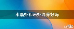 水晶虾和米虾混养好吗