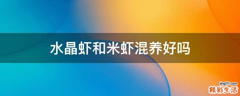 水晶虾和米虾混养好吗
