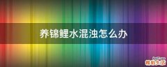 养锦鲤水混浊怎么办