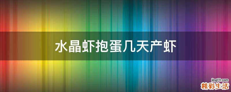 水晶虾抱蛋几天产虾