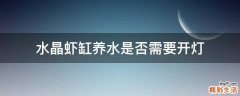 水晶虾缸养水是否需要开灯