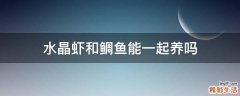 水晶虾和鲷鱼能一起养吗