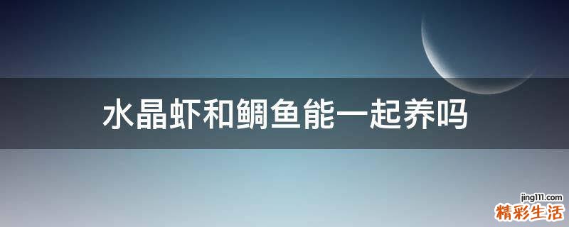 水晶虾和鲷鱼能一起养吗