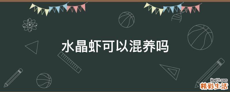 水晶虾可以混养吗