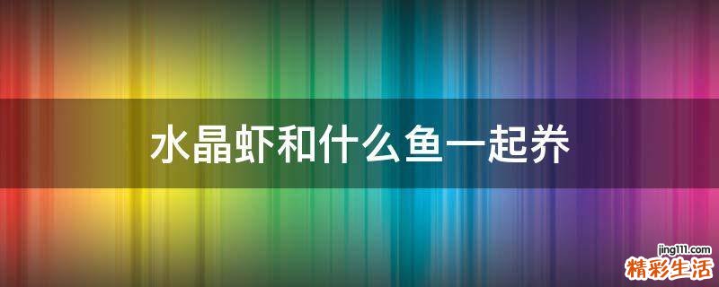水晶虾和什么鱼一起奍