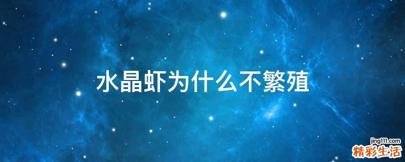 水晶虾为什么不繁殖