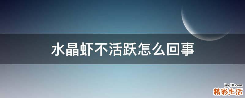 水晶虾不活跃怎么回事