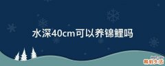 水深40cm可以养锦鲤吗
