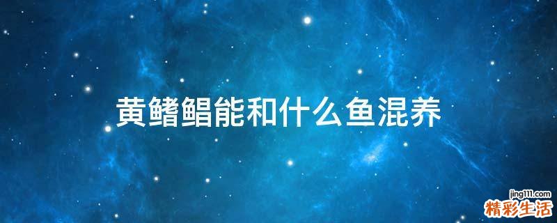 黄鳍鲳能和什么鱼混养